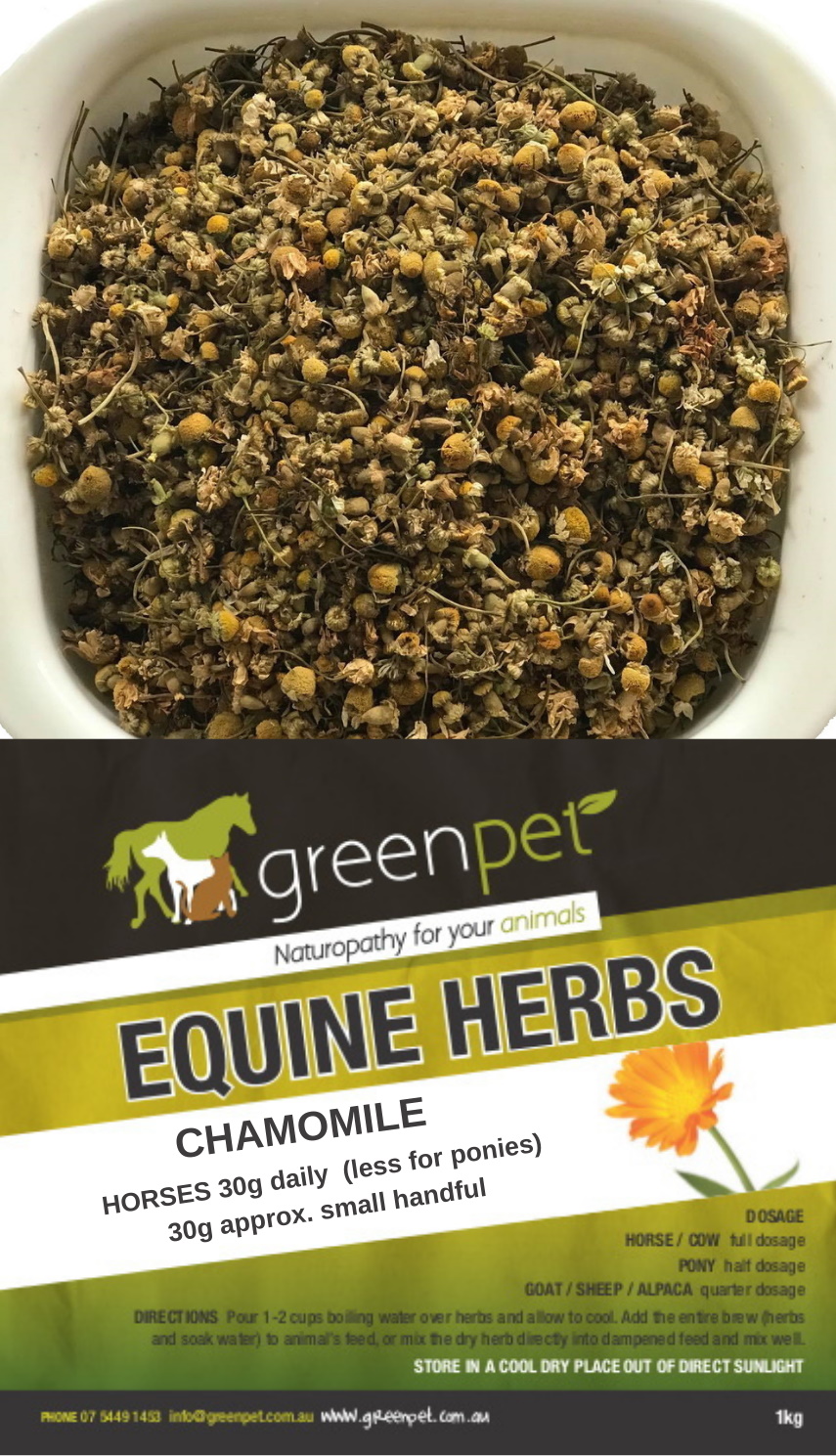 Chamomile Greenpet