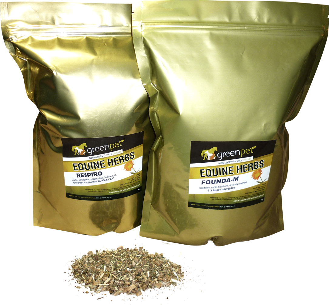 Herbal Equine SWITCH Dried Herb Blend Greenpet