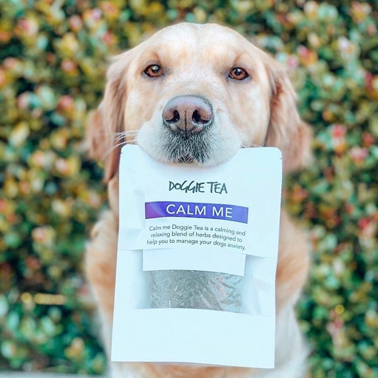 Calm Me Doggie Tea With Chamomile Greenpet